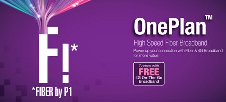 P1 fiber